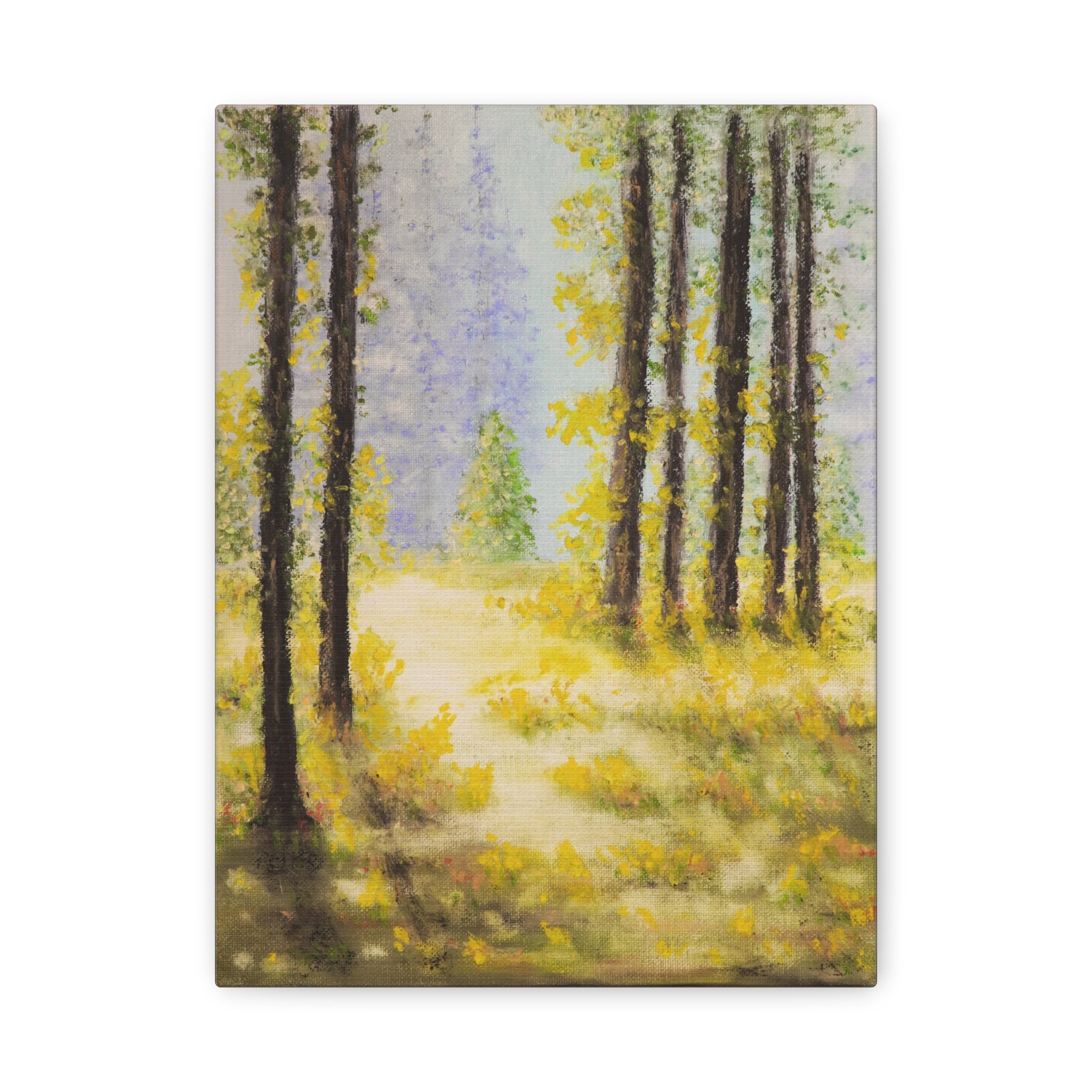 Canvas— Serene Sunlit Forest