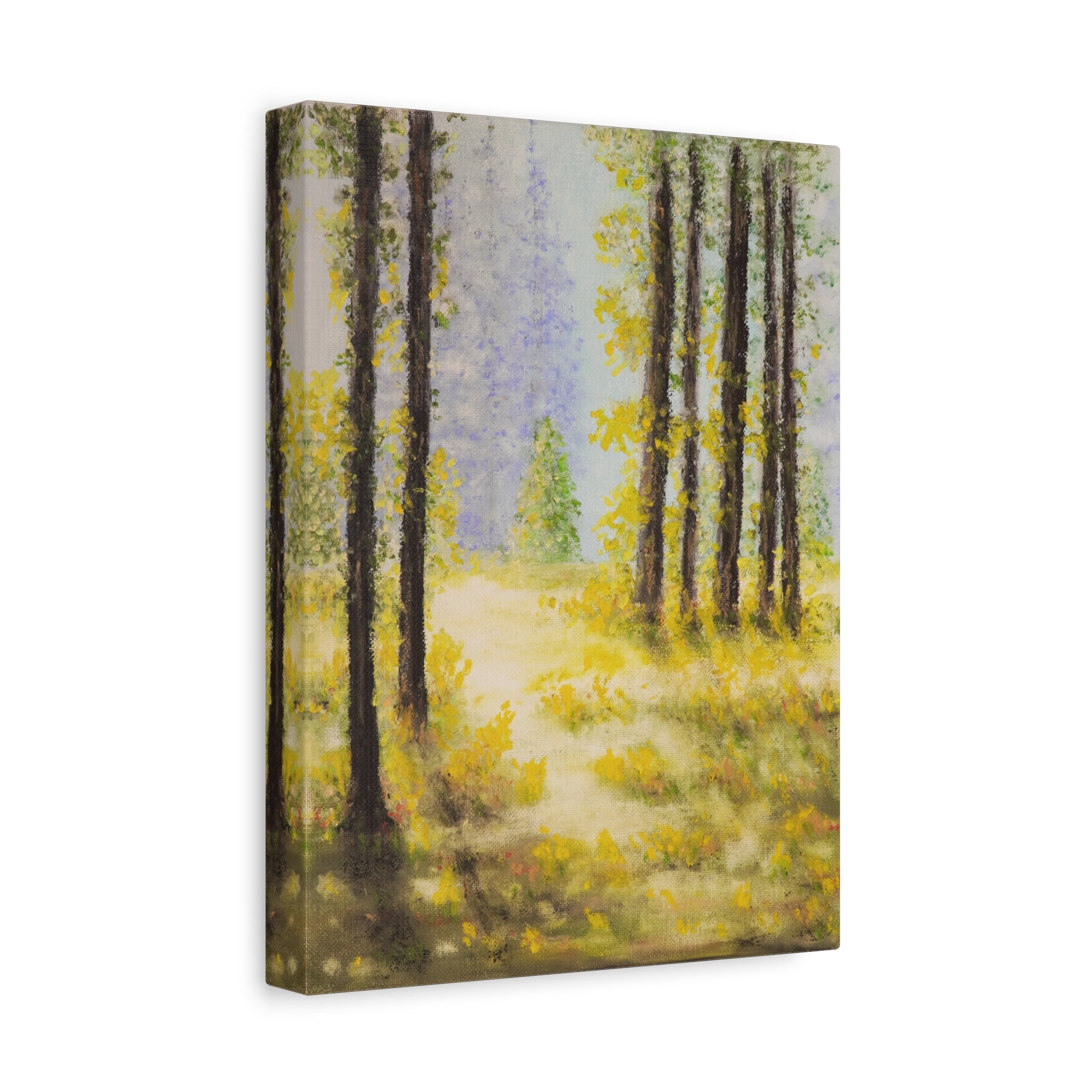 Canvas— Serene Sunlit Forest
